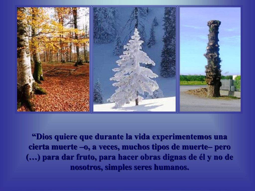 è preferibile una con tante piccole entrate di alberi :uno che perde le foglie, uno senza foglie , uno pieno di neve ed uno potato..Sono i diversi tipi di morte.
