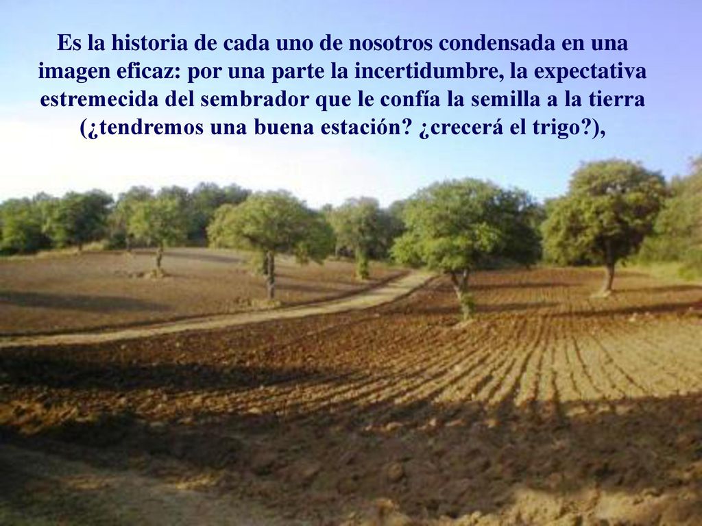 Es la historia de cada uno de nosotros condensada en una imagen eficaz: por una parte la incertidumbre, la expectativa estremecida del sembrador que le confía la semilla a la tierra (¿tendremos una buena estación.