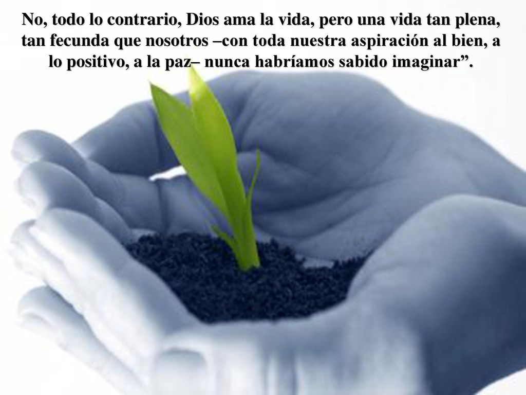 No, todo lo contrario, Dios ama la vida, pero una vida tan plena, tan fecunda que nosotros –con toda nuestra aspiración al bien, a lo positivo, a la paz– nunca habríamos sabido imaginar .