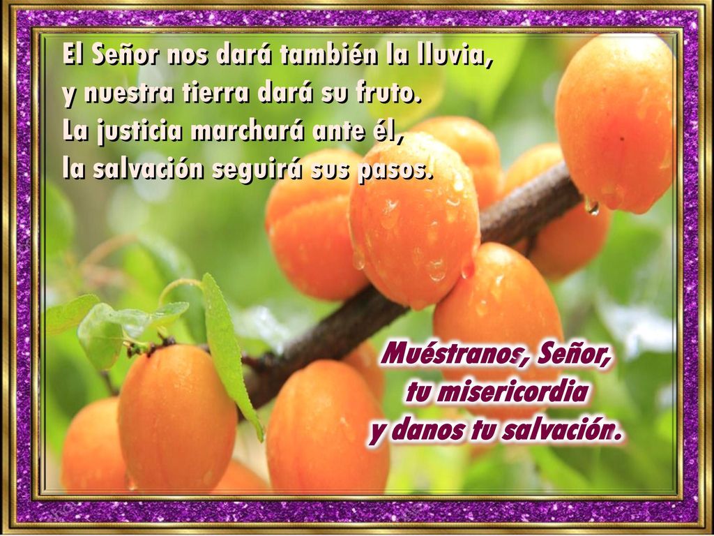 Muéstranos, Señor, tu misericordia y danos tu salvación.
