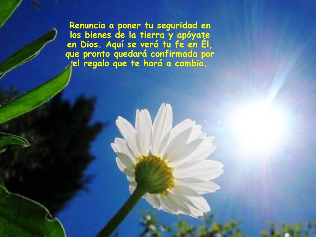Renuncia a poner tu seguridad en los bienes de la tierra y apóyate en Dios.