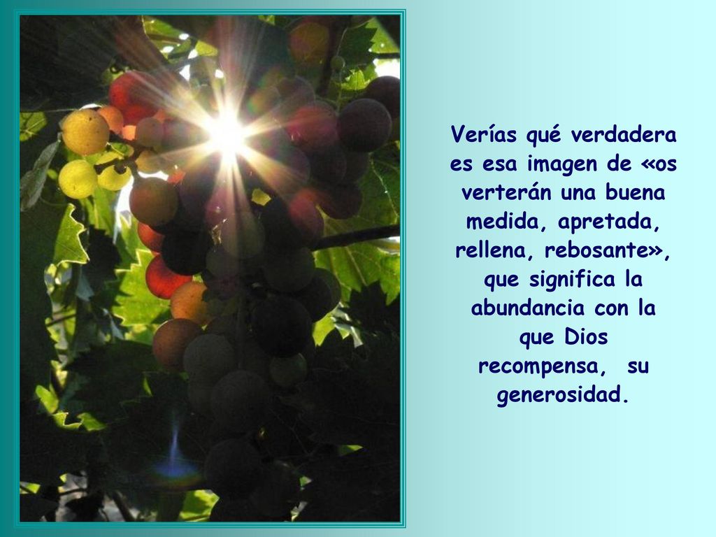 Verías qué verdadera es esa imagen de «os verterán una buena medida, apretada, rellena, rebosante», que significa la abundancia con la que Dios recompensa, su generosidad.