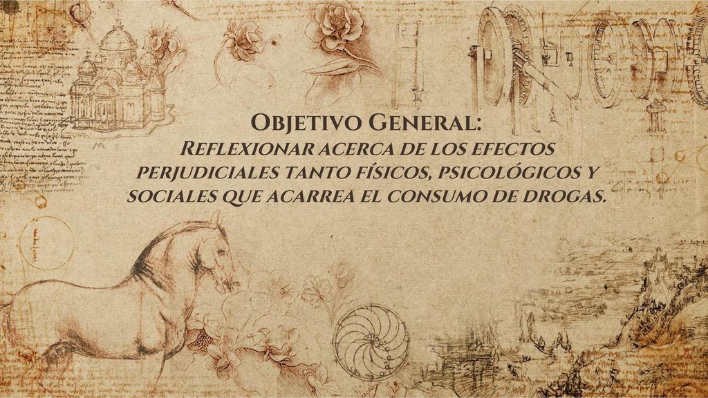Objetivo General: Reflexionar acerca de los efectos perjudiciales tanto físicos, psicológicos y sociales que acarrea el consumo de drogas.