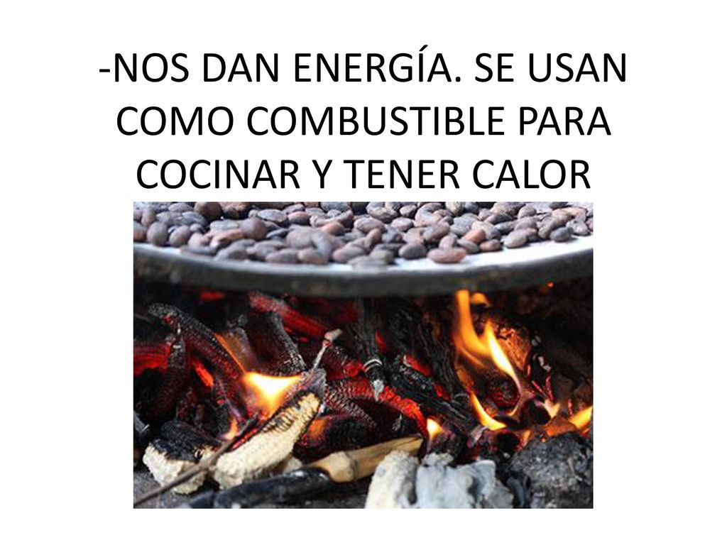 -NOS DAN ENERGÍA. SE USAN COMO COMBUSTIBLE PARA COCINAR Y TENER CALOR