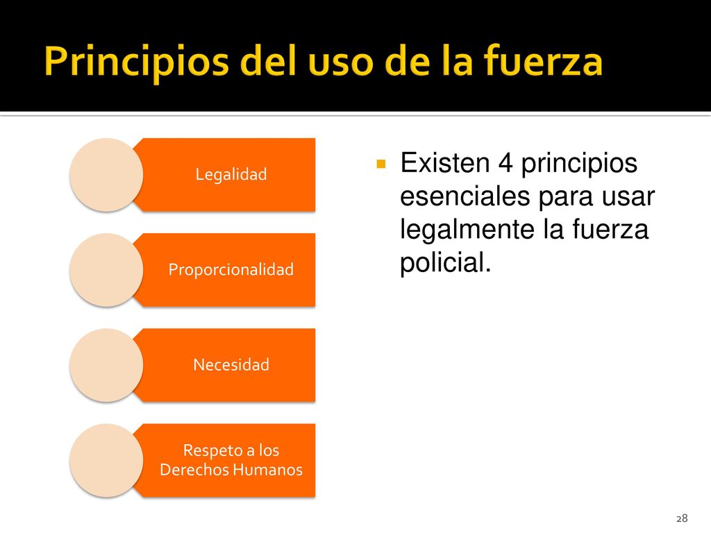 Los principios del uso de la fuerza vrogue co