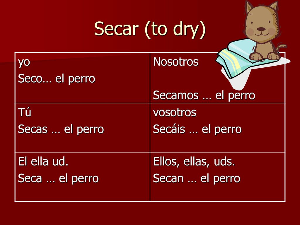 Secar (to dry) yo Seco… el perro Nosotros Secamos … el perro Tú