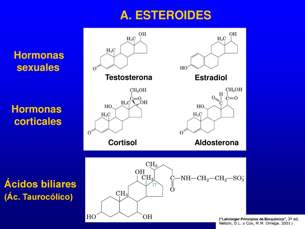 A. ESTEROIDES Hormonas sexuales Hormonas corticales Ácidos biliares