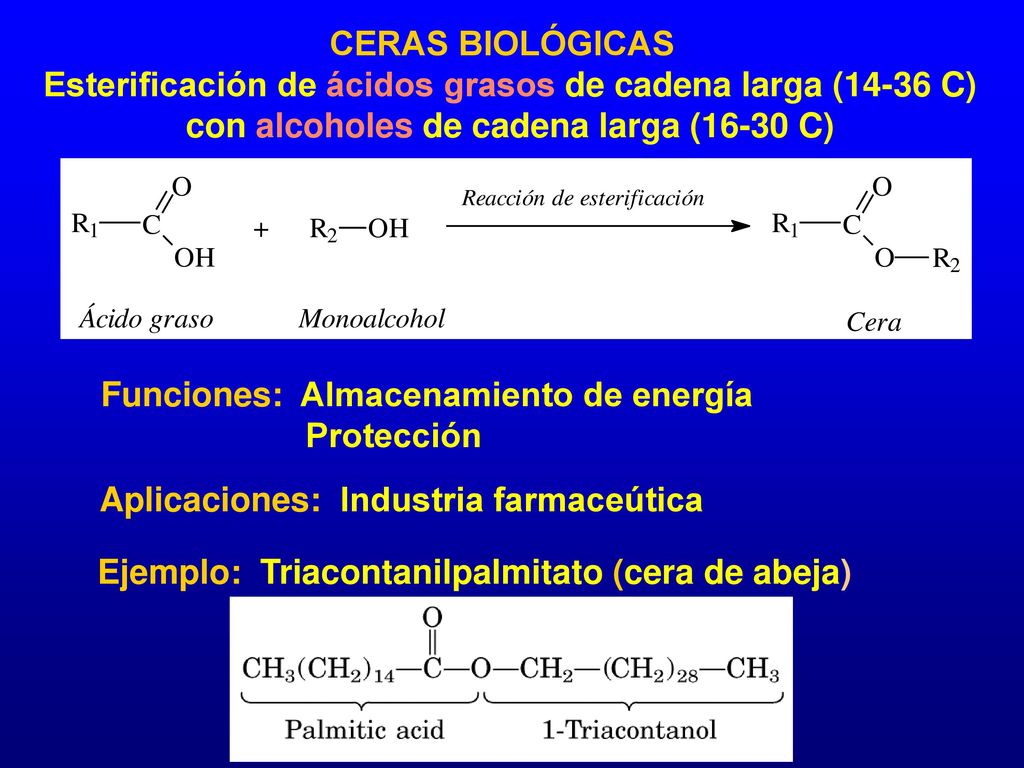 CERAS BIOLÓGICAS Esterificación de ácidos grasos de cadena larga (14-36 C) con alcoholes de cadena larga (16-30 C)