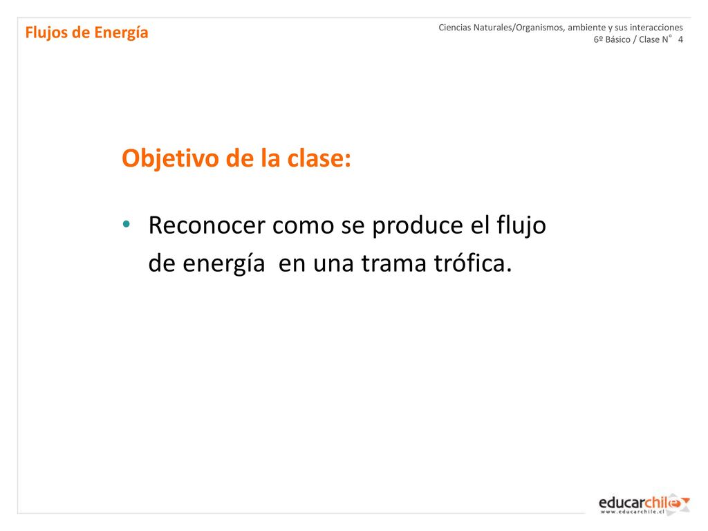 Reconocer como se produce el flujo de energía en una trama trófica.