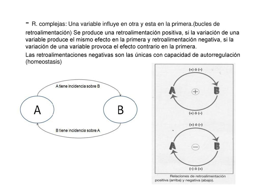 - R. complejas: Una variable influye en otra y esta en la primera