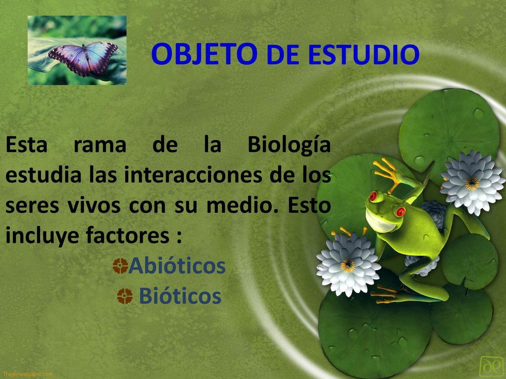 OBJETO DE ESTUDIO Esta rama de la Biología estudia las interacciones de los seres vivos con su medio. Esto incluye factores :