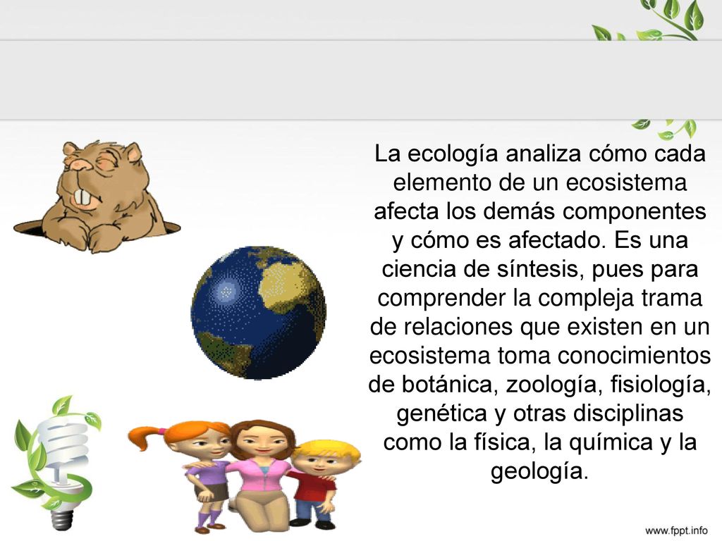 La ecología analiza cómo cada elemento de un ecosistema afecta los demás componentes y cómo es afectado.