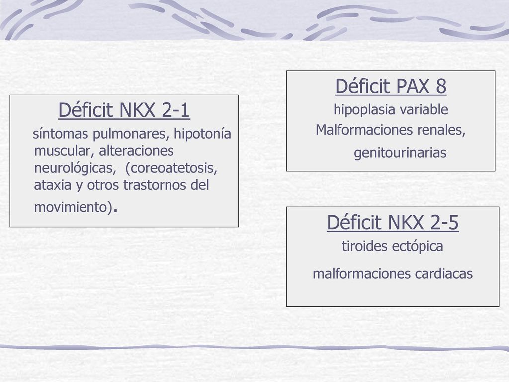 Déficit PAX 8 Déficit NKX 2-1 Déficit NKX 2-5 hipoplasia variable