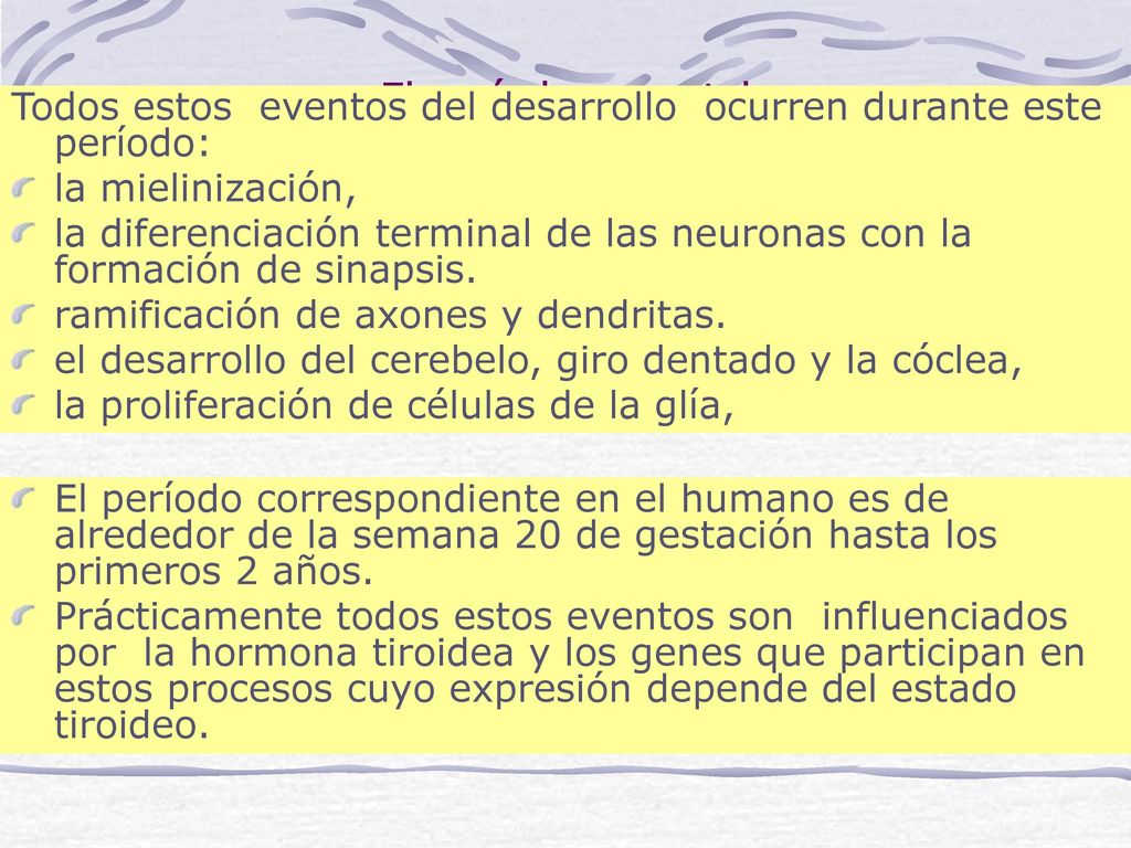 El período posnatal Todos estos eventos del desarrollo ocurren durante este período: la mielinización,