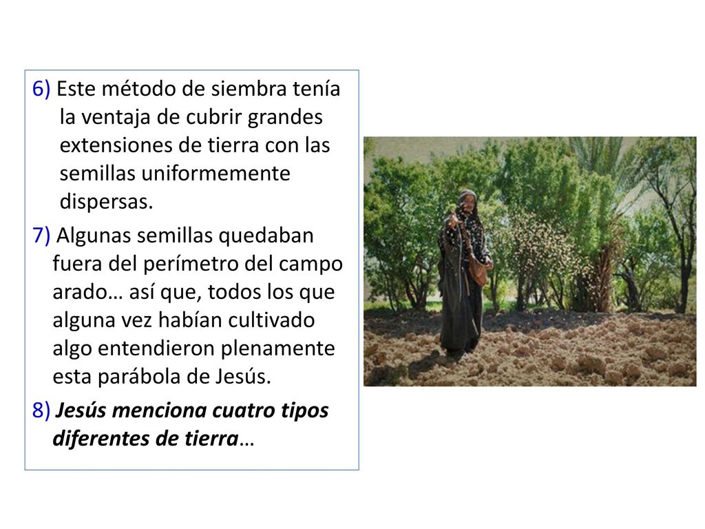 6) Este método de siembra tenía la ventaja de cubrir grandes extensiones de tierra con las semillas uniformemente dispersas.