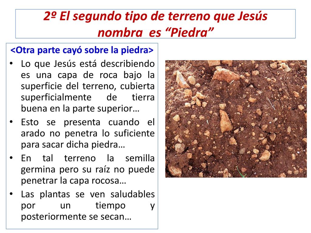 2º El segundo tipo de terreno que Jesús nombra es Piedra