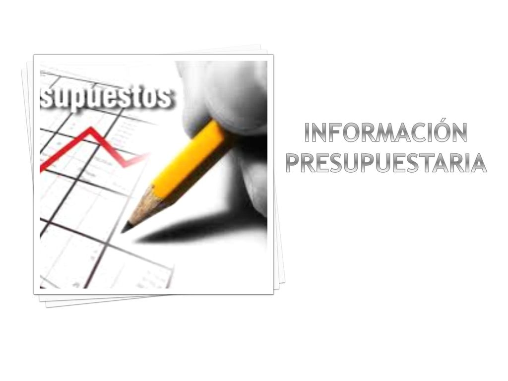 INFORMACIÓN PRESUPUESTARIA