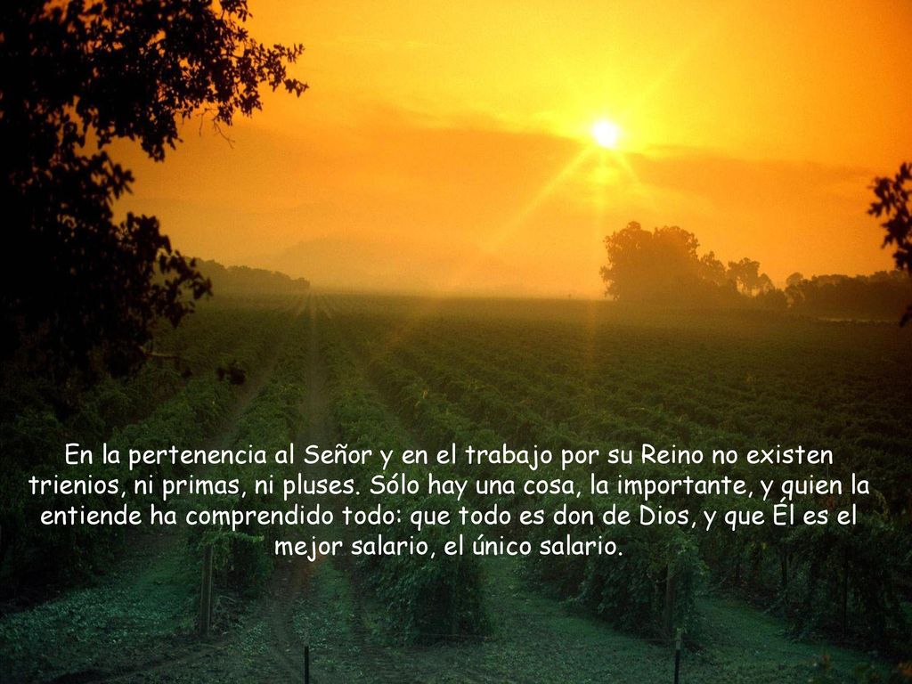 En la pertenencia al Señor y en el trabajo por su Reino no existen trienios, ni primas, ni pluses.