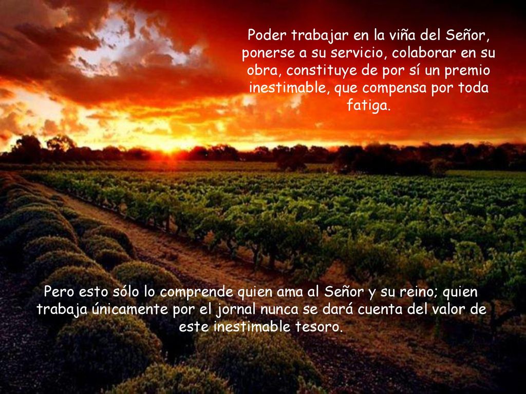 Poder trabajar en la viña del Señor, ponerse a su servicio, colaborar en su obra, constituye de por sí un premio inestimable, que compensa por toda fatiga.
