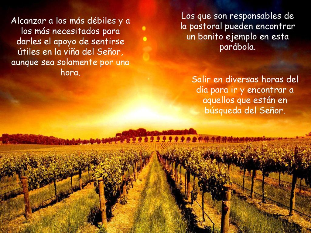 Los que son responsables de la pastoral pueden encontrar un bonito ejemplo en esta parábola.
