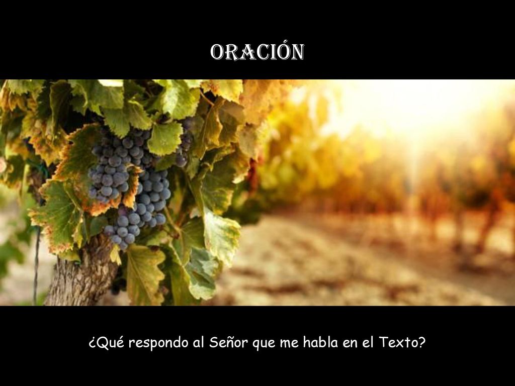 ¿Qué respondo al Señor que me habla en el Texto