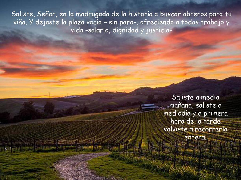 Saliste, Señor, en la madrugada de la historia a buscar obreros para tu viña. Y dejaste la plaza vacía – sin paro-, ofreciendo a todos trabajo y vida -salario, dignidad y justicia-