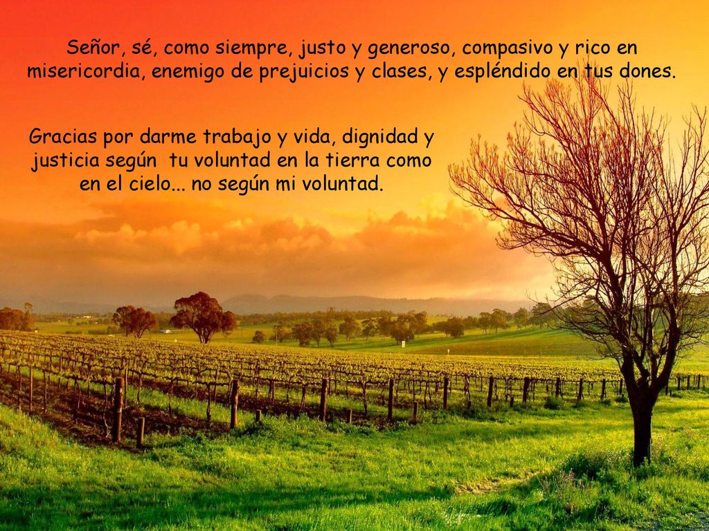 Señor, sé, como siempre, justo y generoso, compasivo y rico en misericordia, enemigo de prejuicios y clases, y espléndido en tus dones.