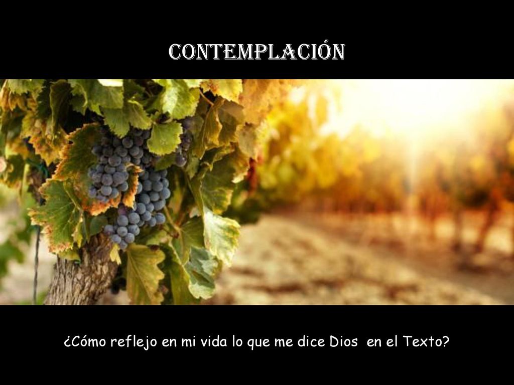 ¿Cómo reflejo en mi vida lo que me dice Dios en el Texto