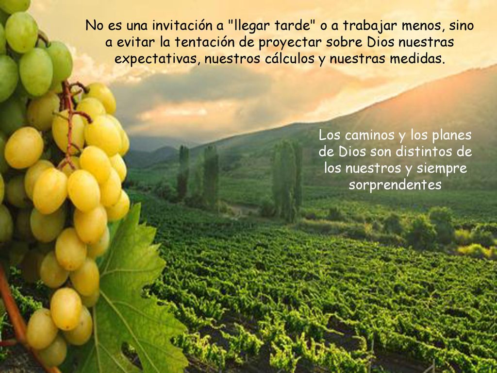 No es una invitación a llegar tarde o a trabajar menos, sino a evitar la tentación de proyectar sobre Dios nuestras expectativas, nuestros cálculos y nuestras medidas.
