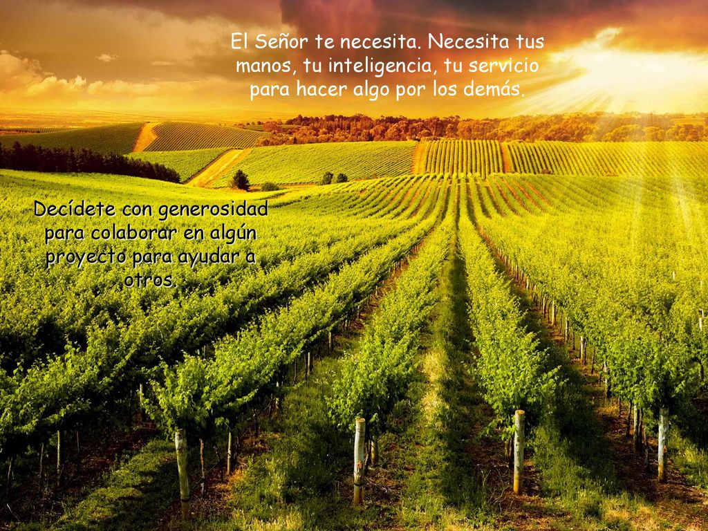 El Señor te necesita. Necesita tus manos, tu inteligencia, tu servicio para hacer algo por los demás.