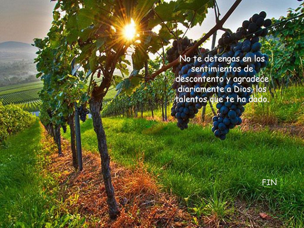 No te detengas en los sentimientos de descontento y agradece diariamente a Dios, los talentos que te ha dado.