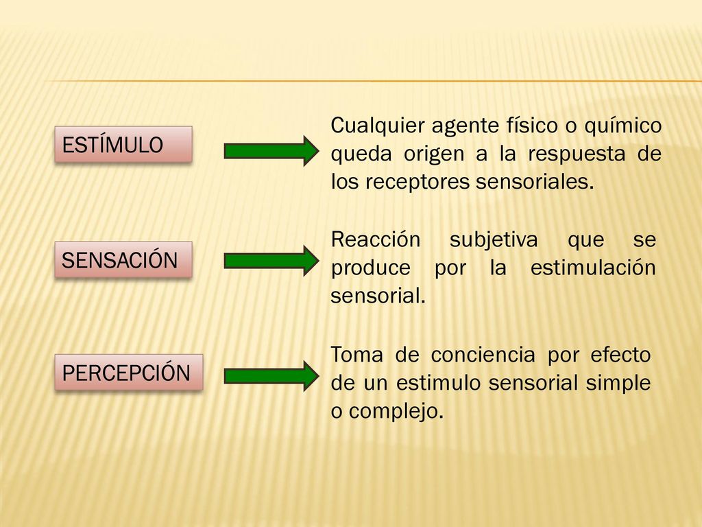 Cualquier agente físico o químico queda origen a la respuesta de los receptores sensoriales.
