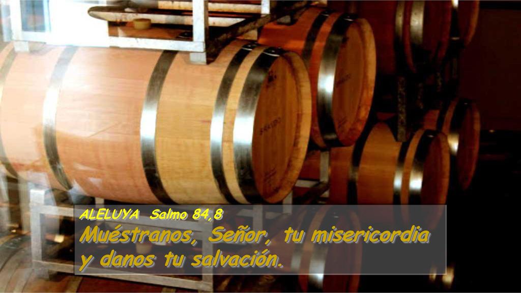 Muéstranos, Señor, tu misericordia y danos tu salvación.