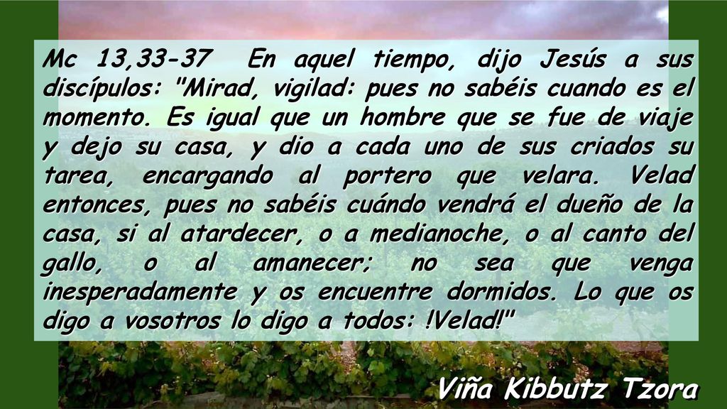 Mc 13,33-37 En aquel tiempo, dijo Jesús a sus discípulos: Mirad, vigilad: pues no sabéis cuando es el momento. Es igual que un hombre que se fue de viaje y dejo su casa, y dio a cada uno de sus criados su tarea, encargando al portero que velara. Velad entonces, pues no sabéis cuándo vendrá el dueño de la casa, si al atardecer, o a medianoche, o al canto del gallo, o al amanecer; no sea que venga inesperadamente y os encuentre dormidos. Lo que os digo a vosotros lo digo a todos: !Velad!
