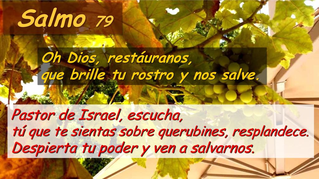 Salmo 79 Oh Dios, restáuranos, que brille tu rostro y nos salve.