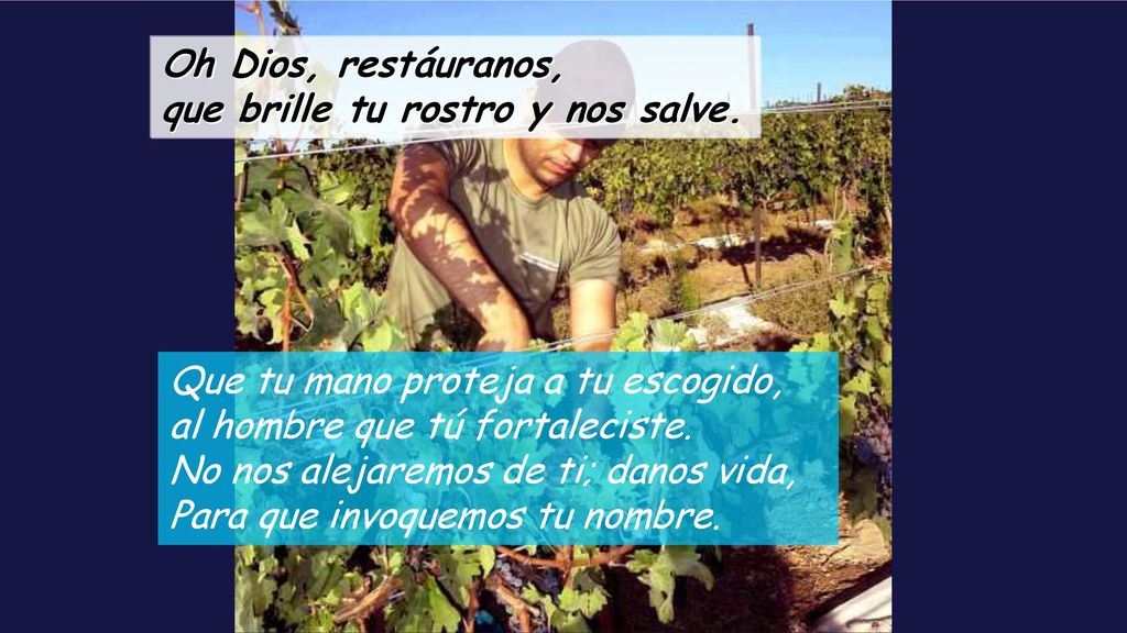 Oh Dios, restáuranos, que brille tu rostro y nos salve.