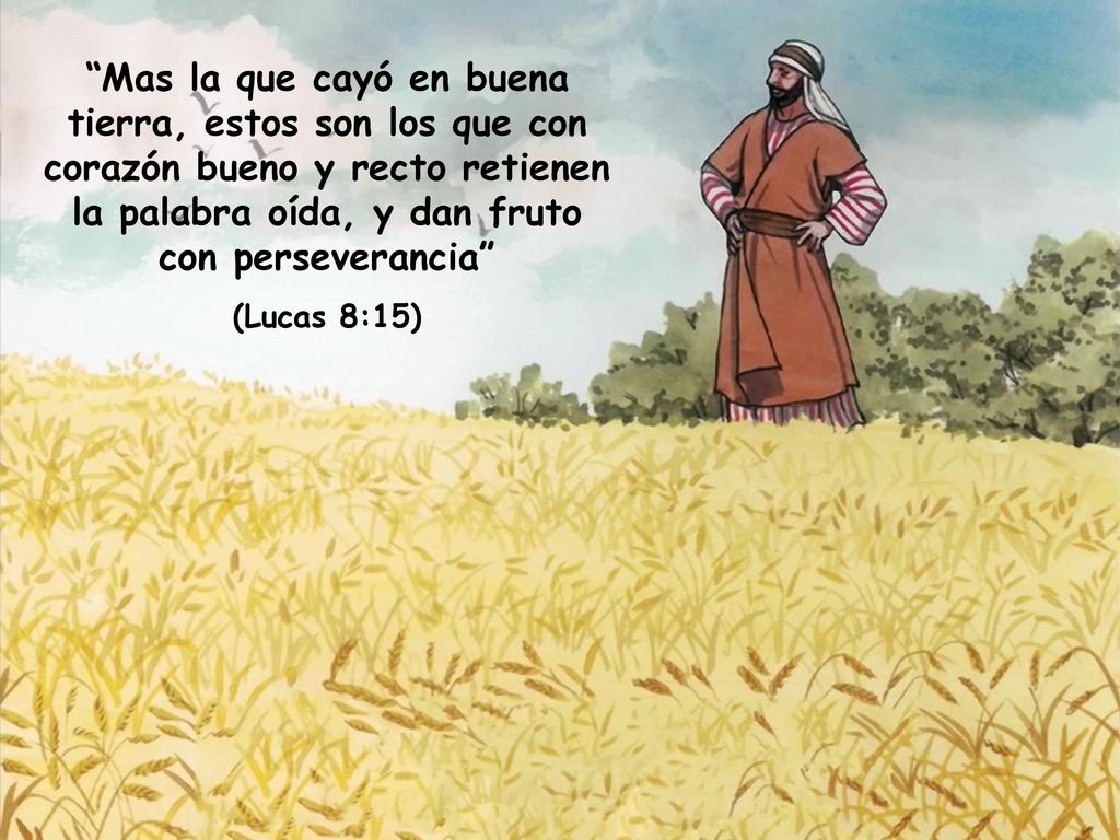 Mas la que cayó en buena tierra, estos son los que con corazón bueno y recto retienen la palabra oída, y dan fruto con perseverancia