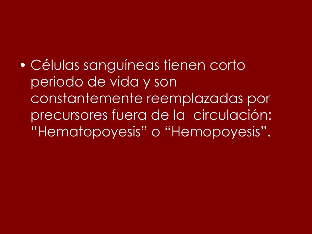Células sanguíneas tienen corto periodo de vida y son constantemente reemplazadas por precursores fuera de la circulación: Hematopoyesis o Hemopoyesis .