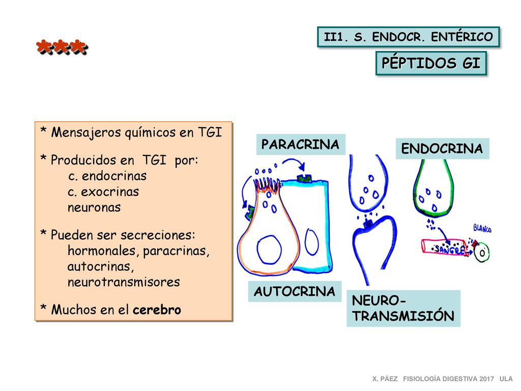 *** PÉPTIDOS GI * Mensajeros químicos en TGI * Producidos en TGI por: