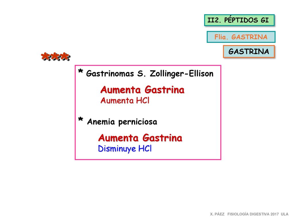 *** * Gastrinomas S. Zollinger-Ellison * Anemia perniciosa Aumenta HCl