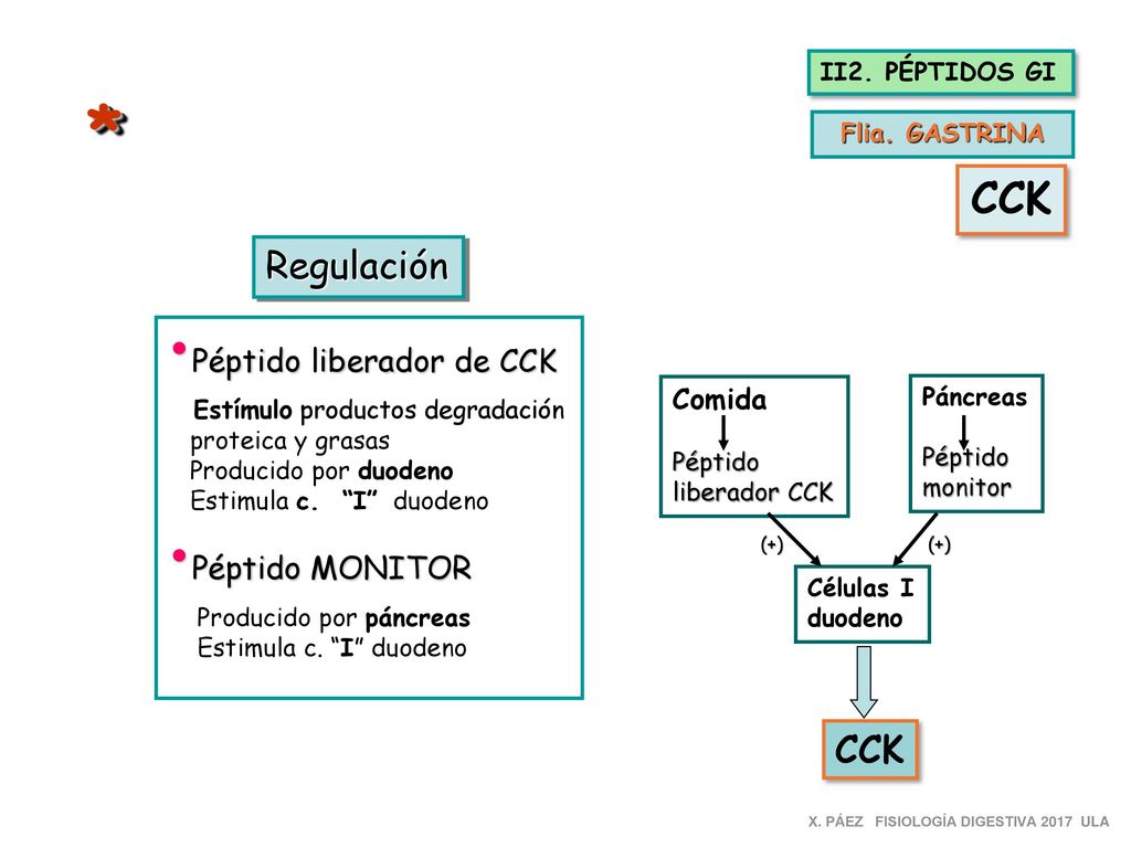 * CCK Regulación CCK Péptido liberador de CCK Péptido MONITOR Comida