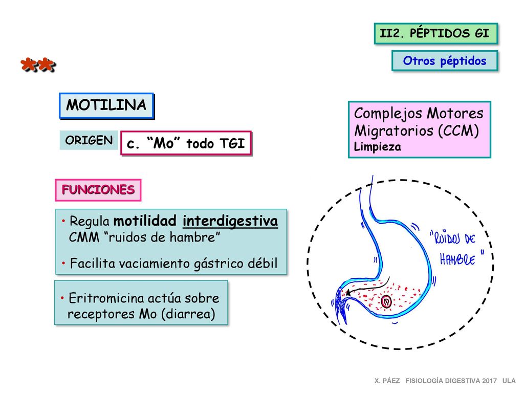 ** MOTILINA Complejos Motores Migratorios (CCM) c. Mo todo TGI