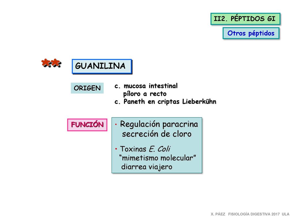 ** GUANILINA secreción de cloro Toxinas E. Coli mimetismo molecular
