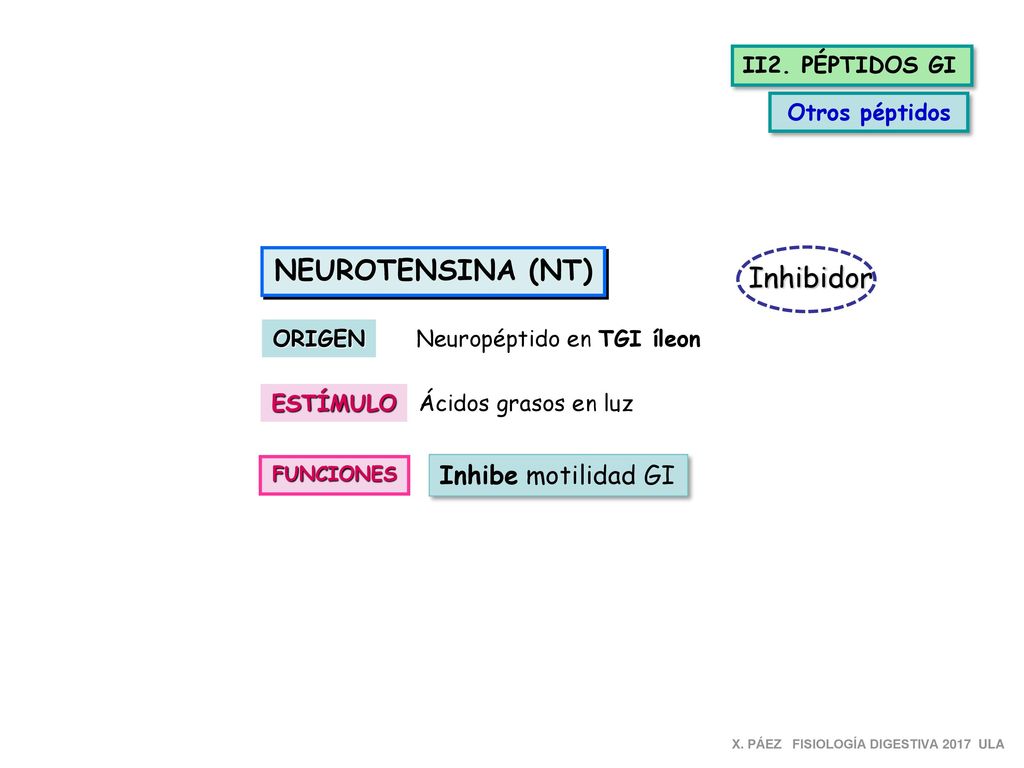 NEUROTENSINA (NT) Inhibidor Inhibe motilidad GI II2. PÉPTIDOS GI