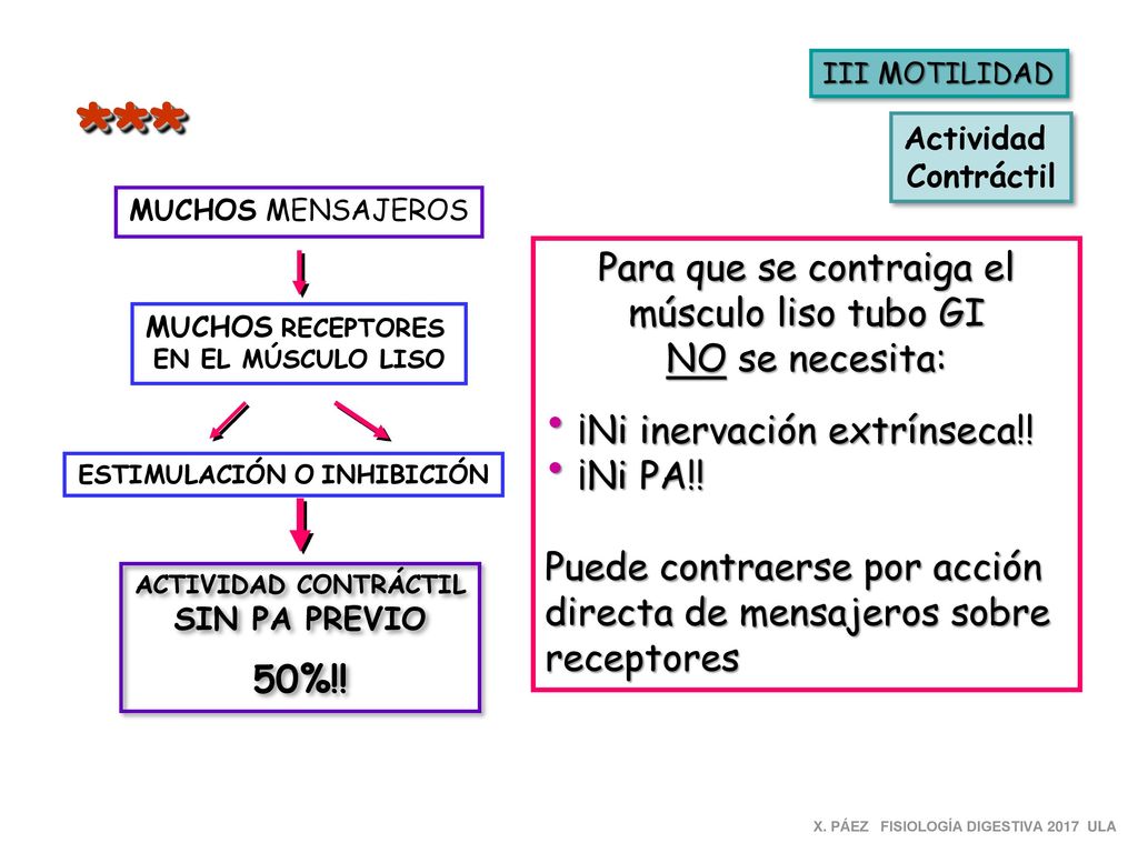 *** Para que se contraiga el músculo liso tubo GI NO se necesita: