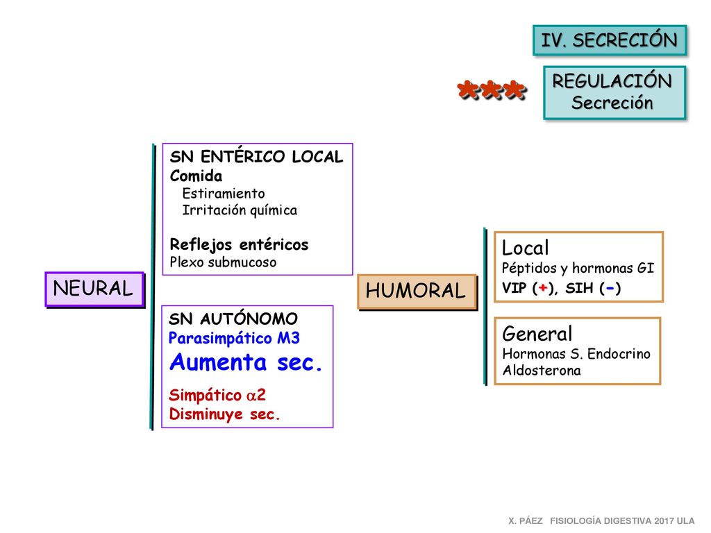 *** Aumenta sec. Local NEURAL HUMORAL General IV. SECRECIÓN REGULACIÓN