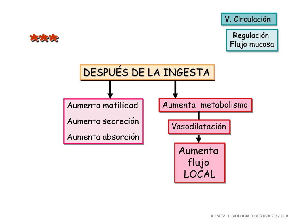 *** DESPUÉS DE LA INGESTA Aumenta flujo LOCAL Aumenta motilidad