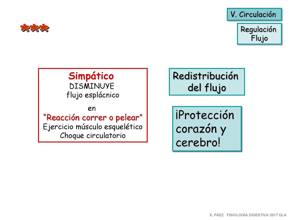 *** ¡Protección corazón y cerebro! Simpático Redistribución del flujo