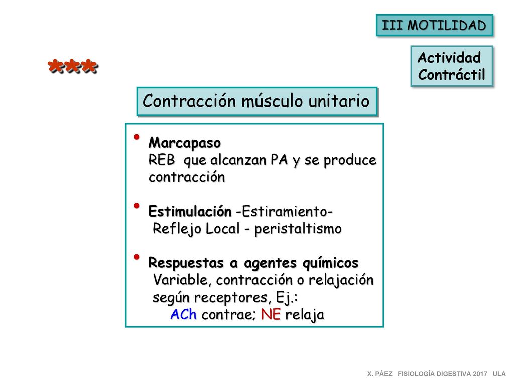 *** Contracción músculo unitario Actividad Contráctil Marcapaso