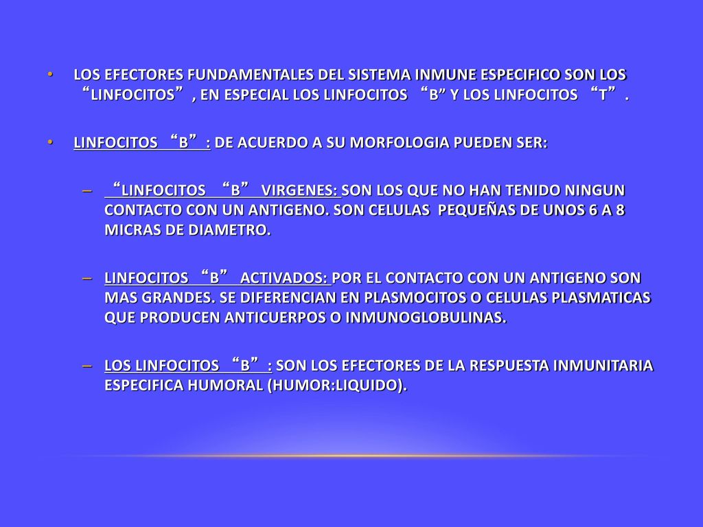 LOS EFECTORES FUNDAMENTALES DEL SISTEMA INMUNE ESPECIFICO SON LOS LINFOCITOS , EN ESPECIAL LOS LINFOCITOS B Y LOS LINFOCITOS T .